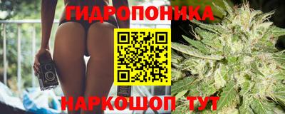 дурь Будённовск
